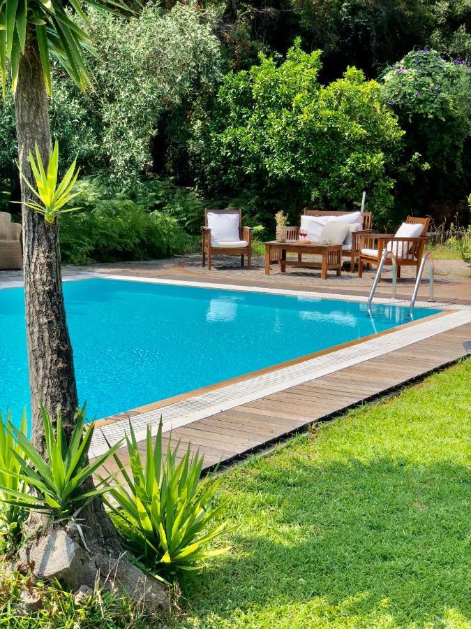 Gialos Villas 1-2 With A Private Pool มิกรอส ยาลอส ภายนอก รูปภาพ